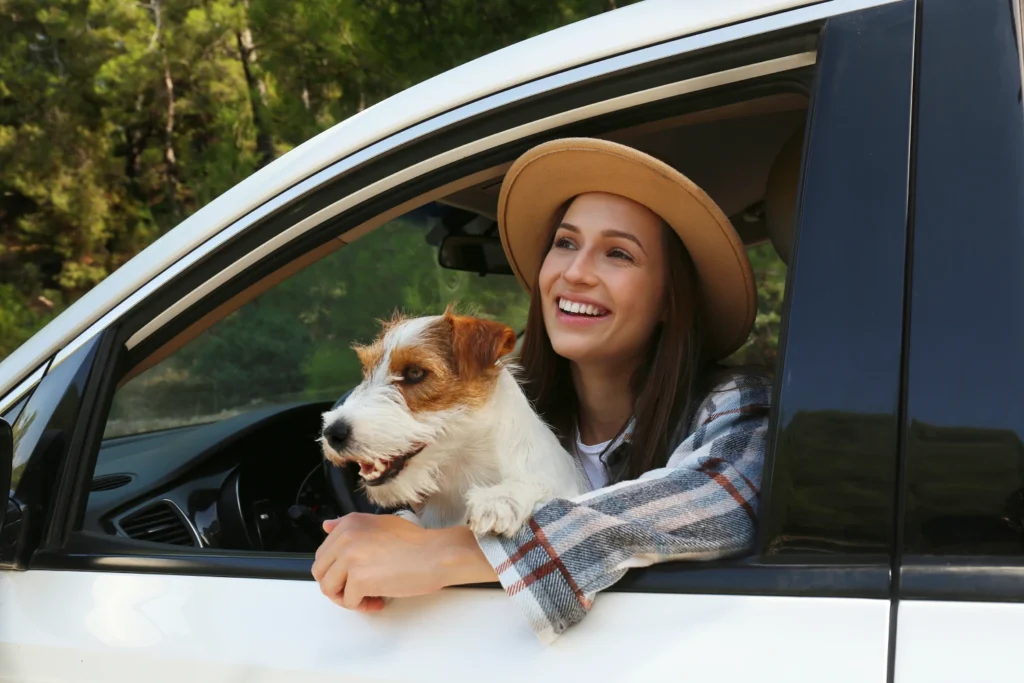 Wire Fox Terrier Dog Carrier Car Seat for Dodge Challenger