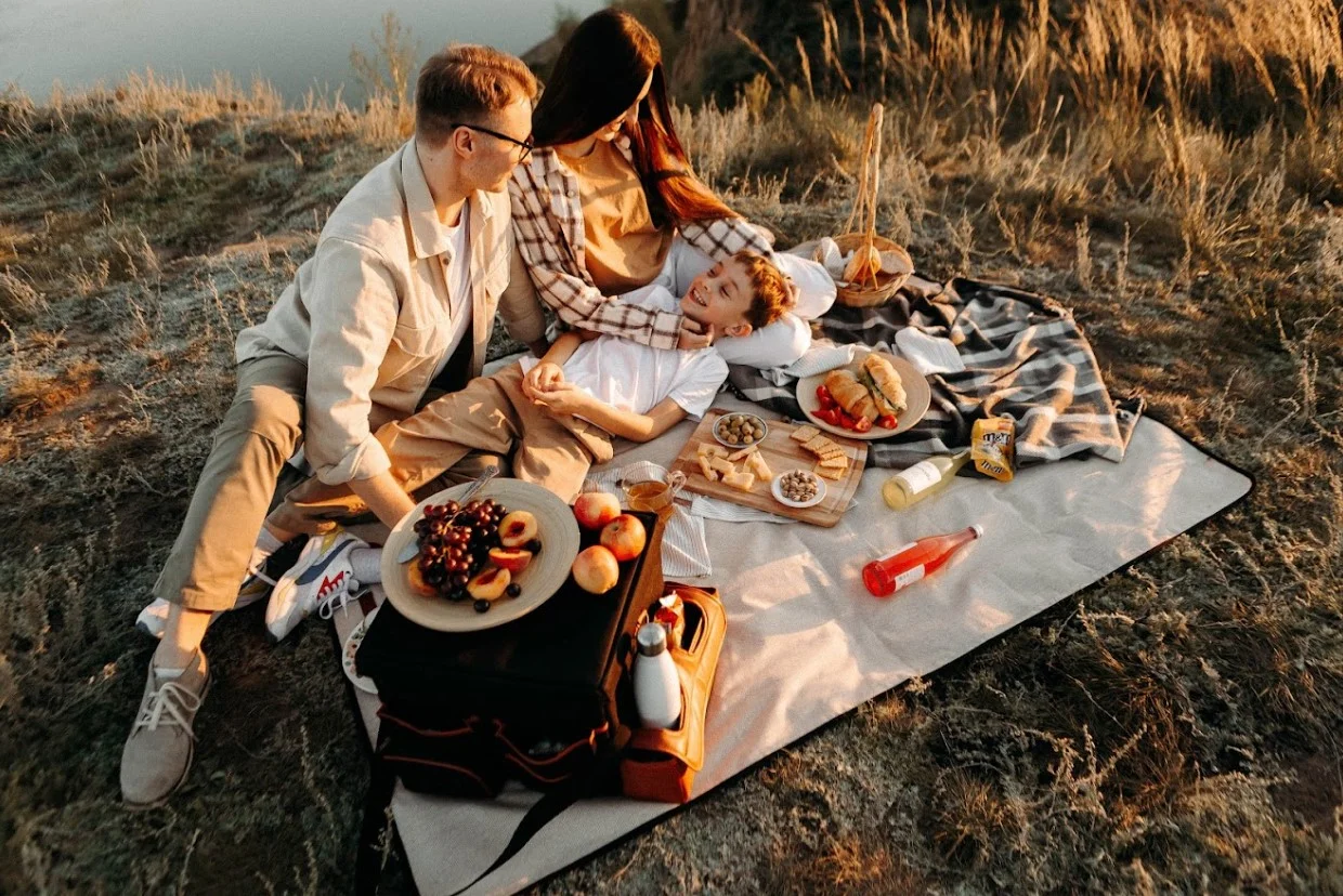 luxury picnic blanket