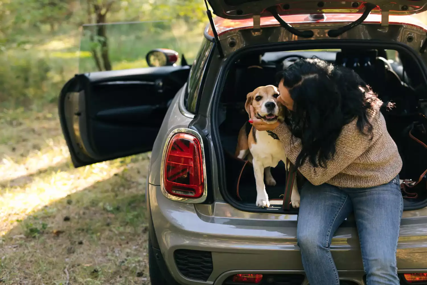 dog back seat cover for Mercedes-Benz C-Class