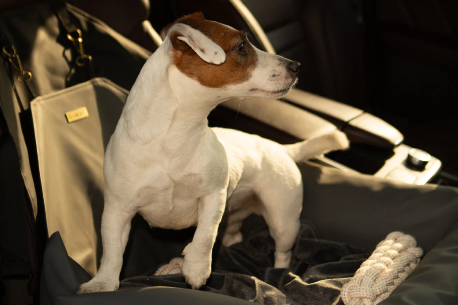 Volkswagen Golf Dog Car Seat for Cockapoos
