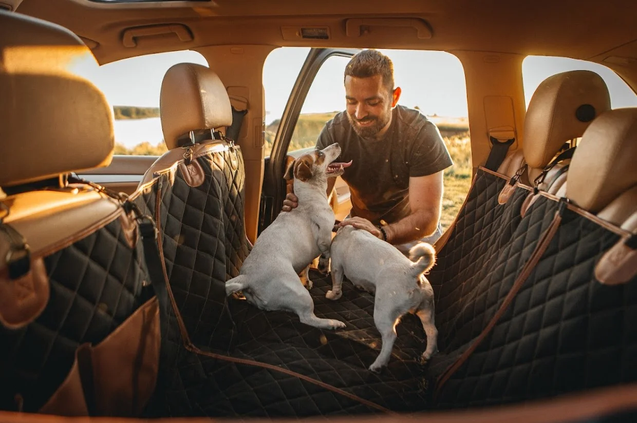 Bulldogs back seat cover for Ford Explorer